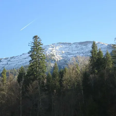 Allgaeu Haus アパート *