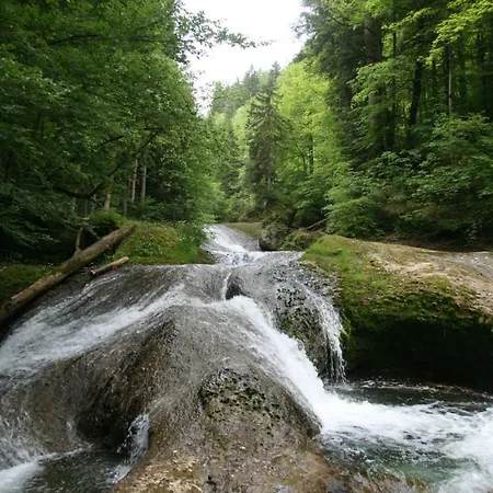 Allgaeu Haus * イスニー・イム・アルゴイ