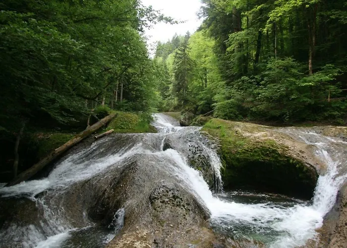 Allgaeu Haus * ايسني ام الغو